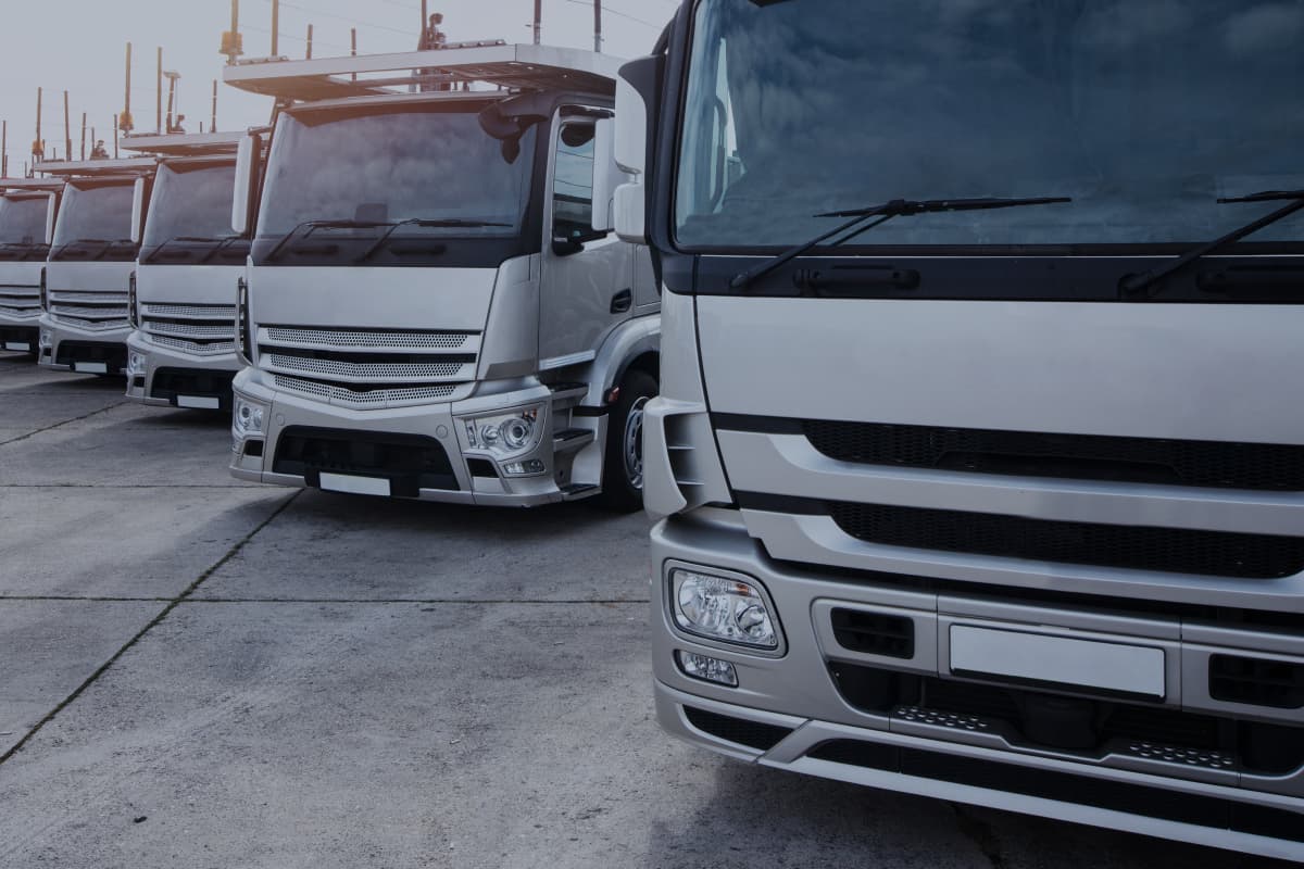 seguro transportes logísticos