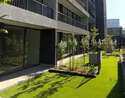 Toesca 2576 DP319 - Thumbnail 8