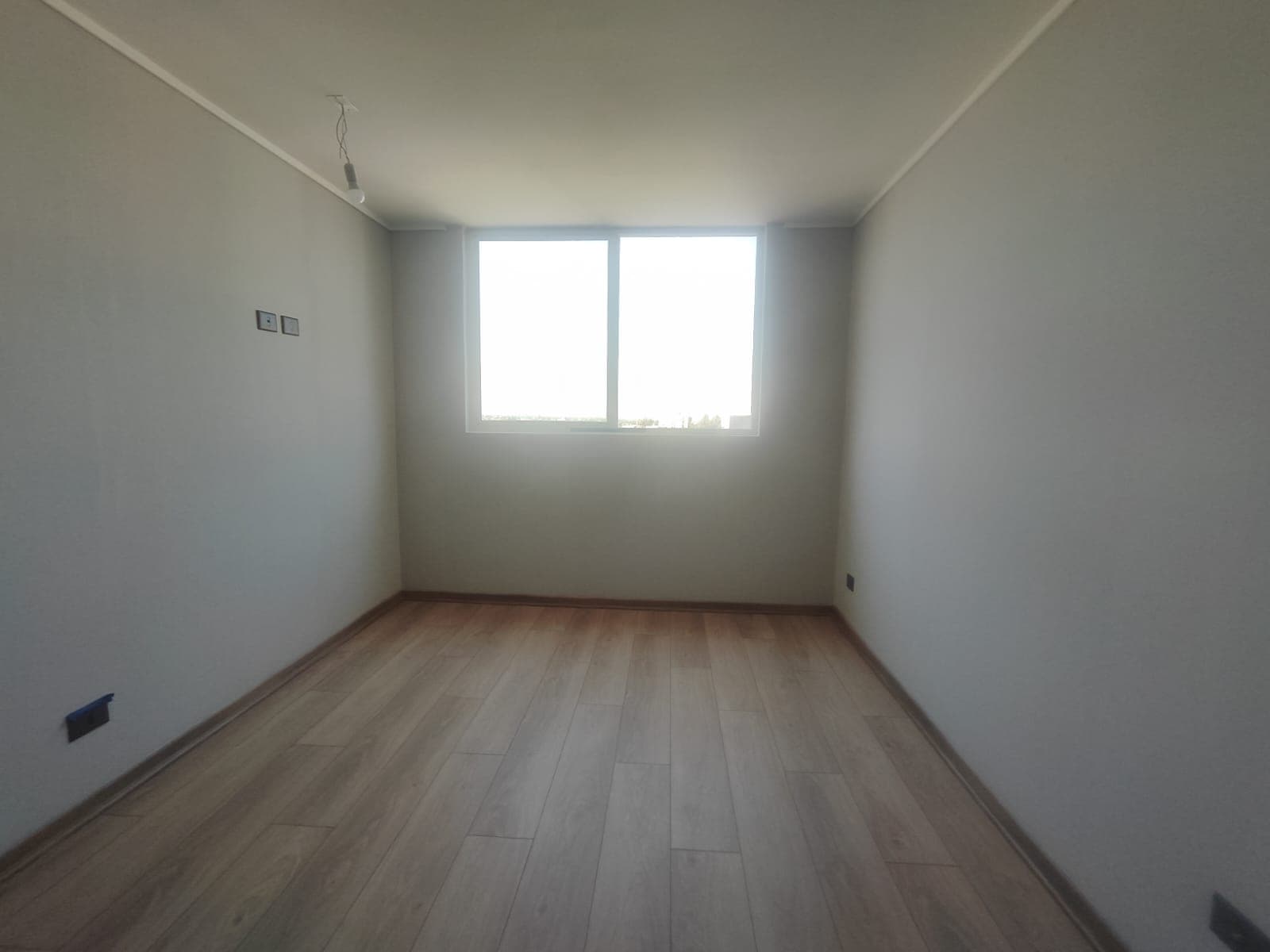 Pudeto 6908 DP1509 - Imagen 2