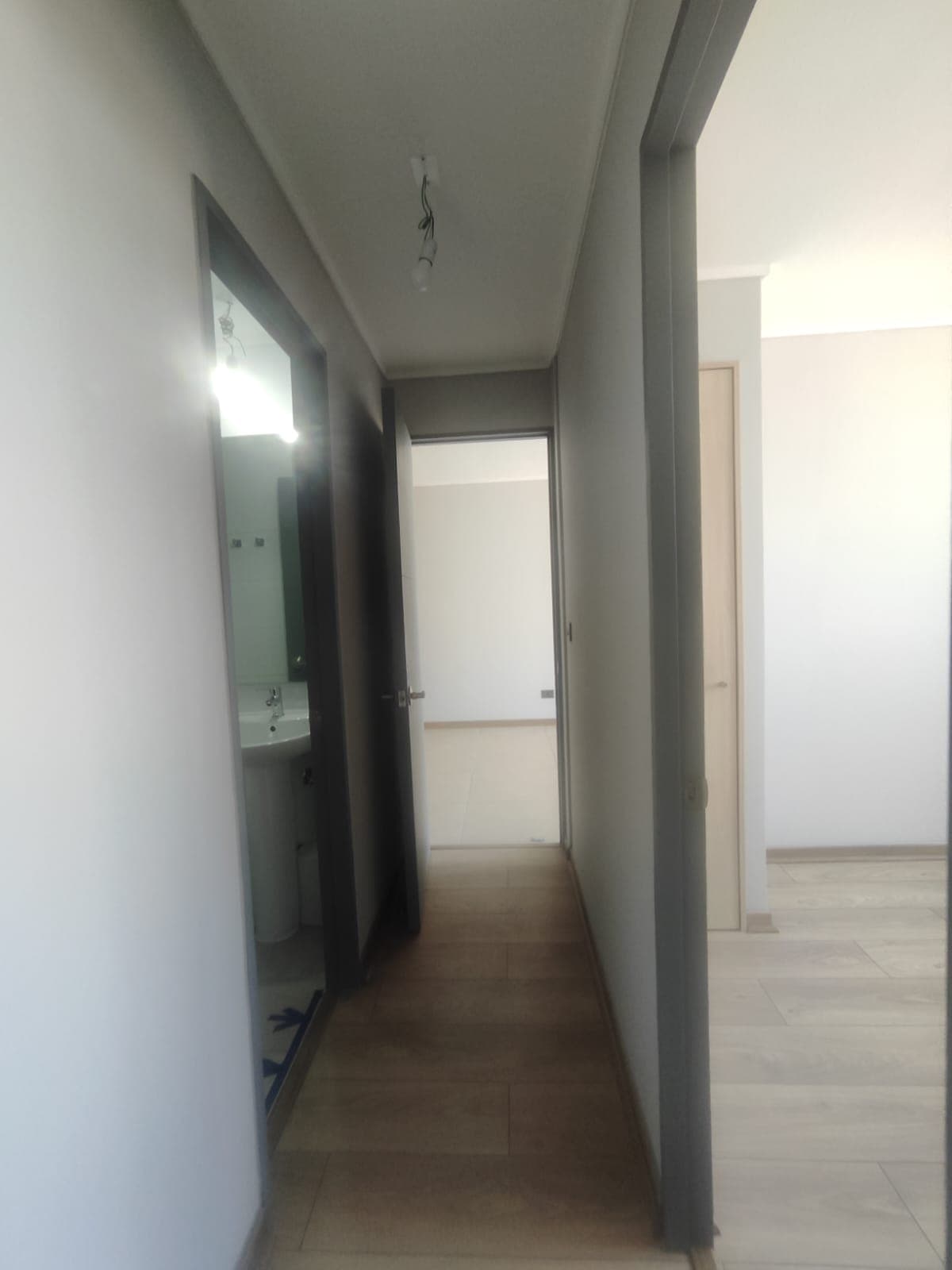 Pudeto 6908 DP1509 - Imagen 3